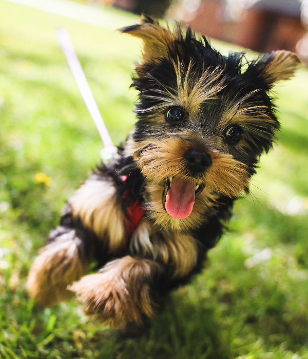 สำนักงานสาธารณสุขจังหวัดกาญจนบุรี